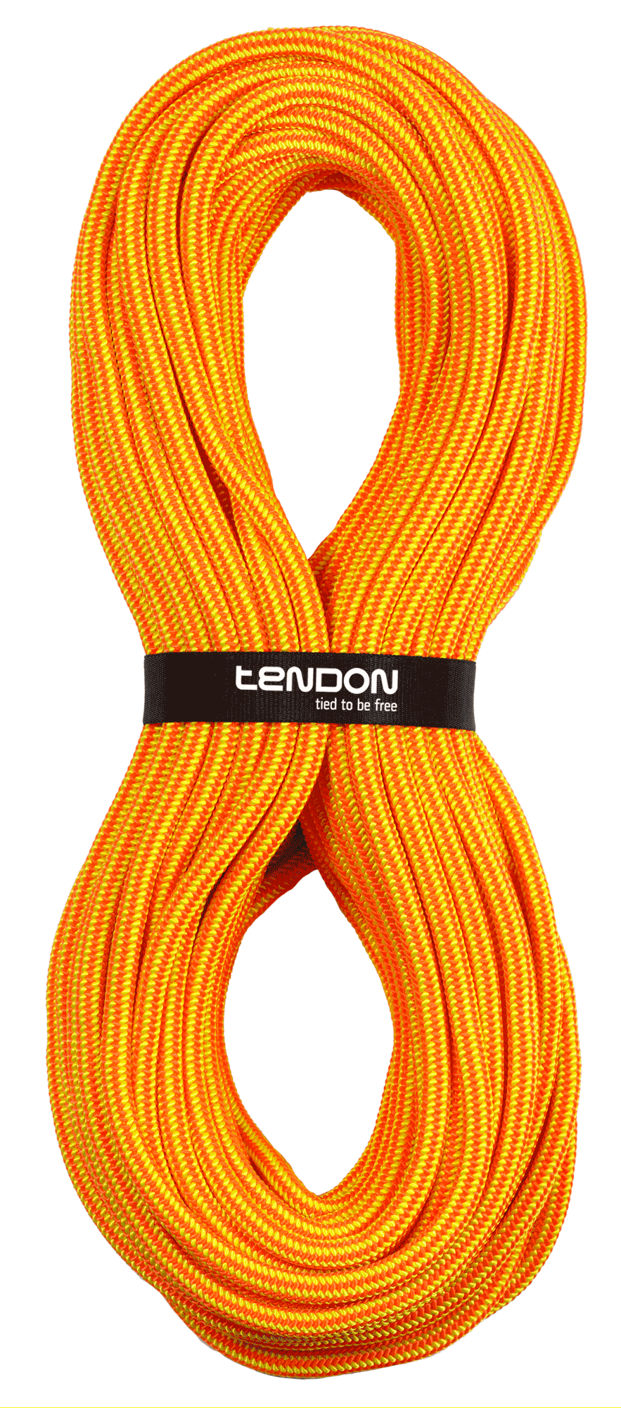 TENDON Timber EVO 11.5