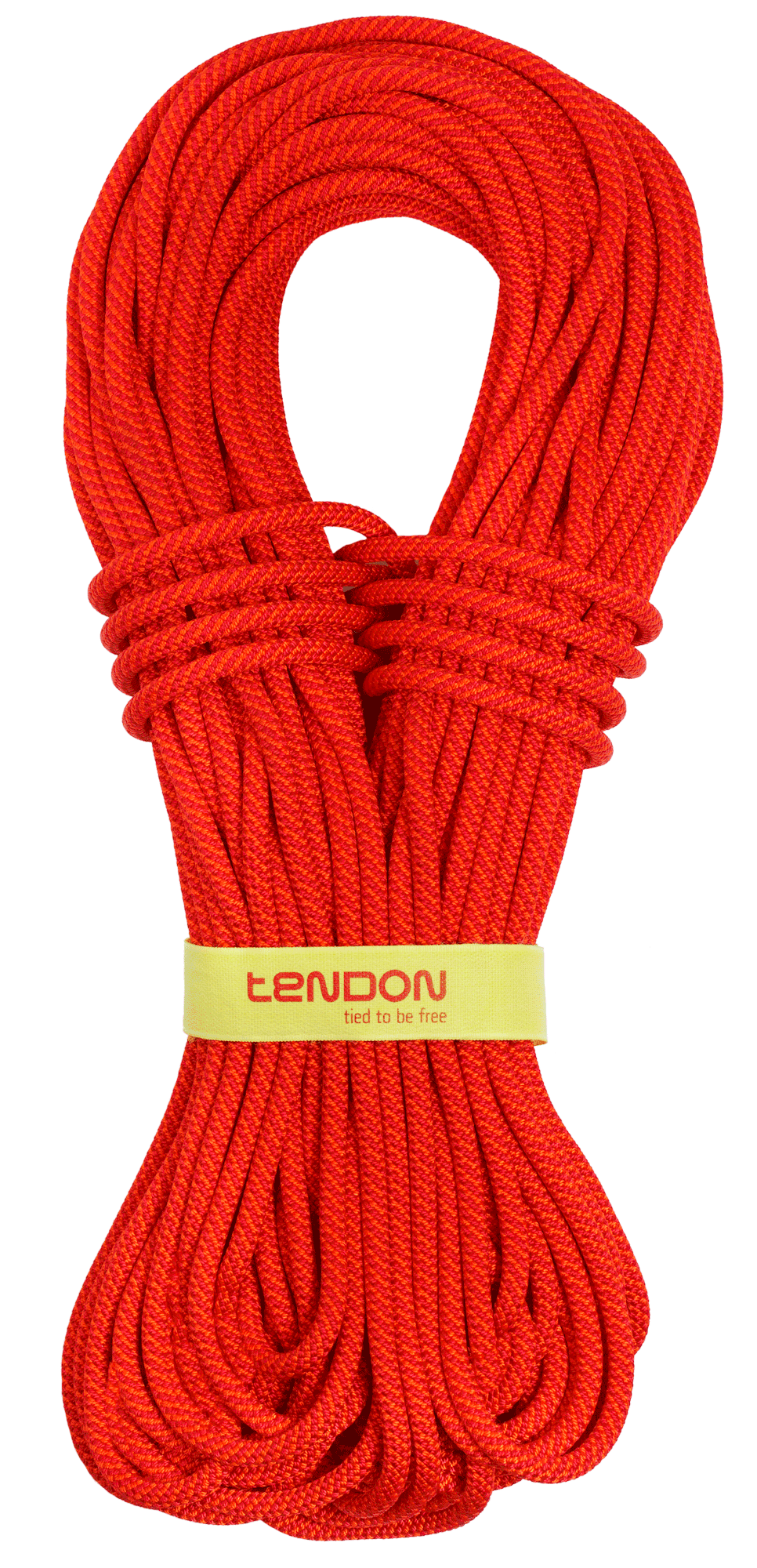 TENDON Master 7.8 TeFIX - oranžová