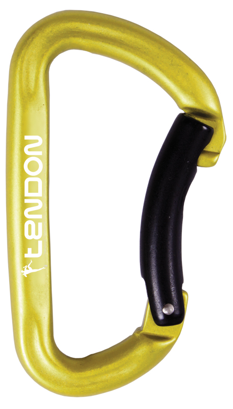 TENDON 17